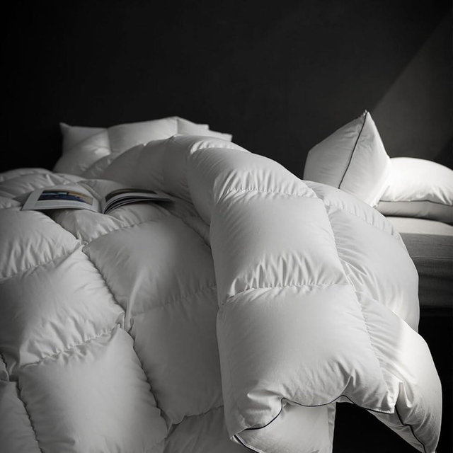 HYVIF Luxury Down Fiber Comforter Queen Size - High Fill Power Medium Warmth for All Season Duvet Insert - Light Weight, White (90" x 90")