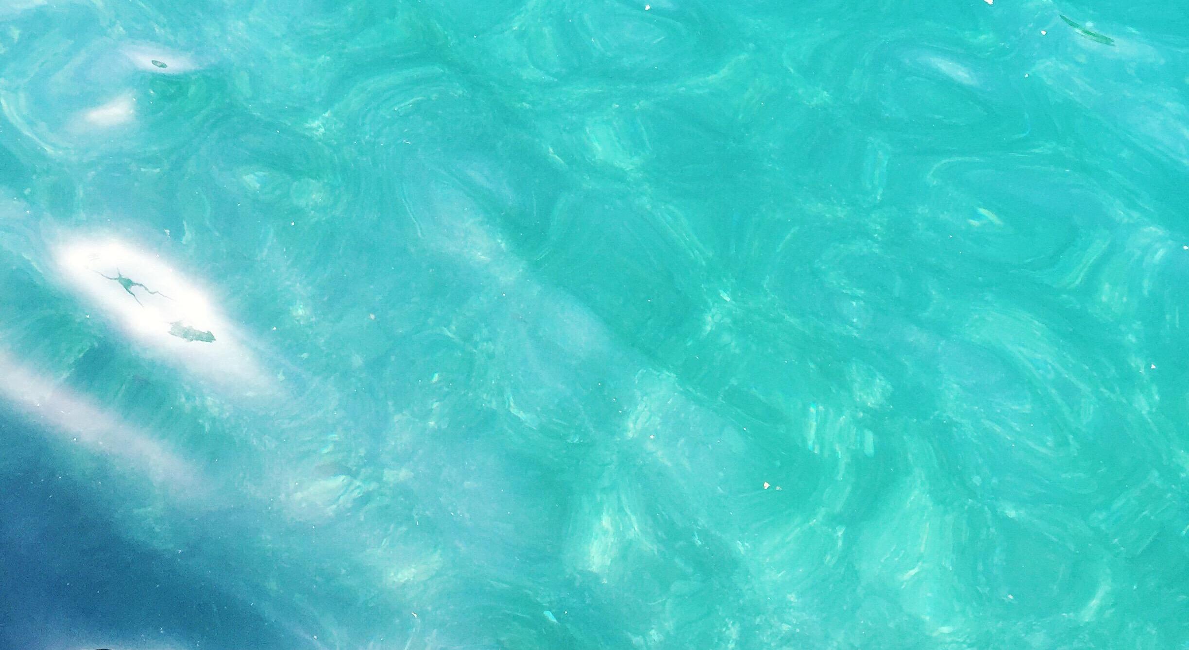 Footer image
