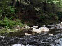 Robinson State Park