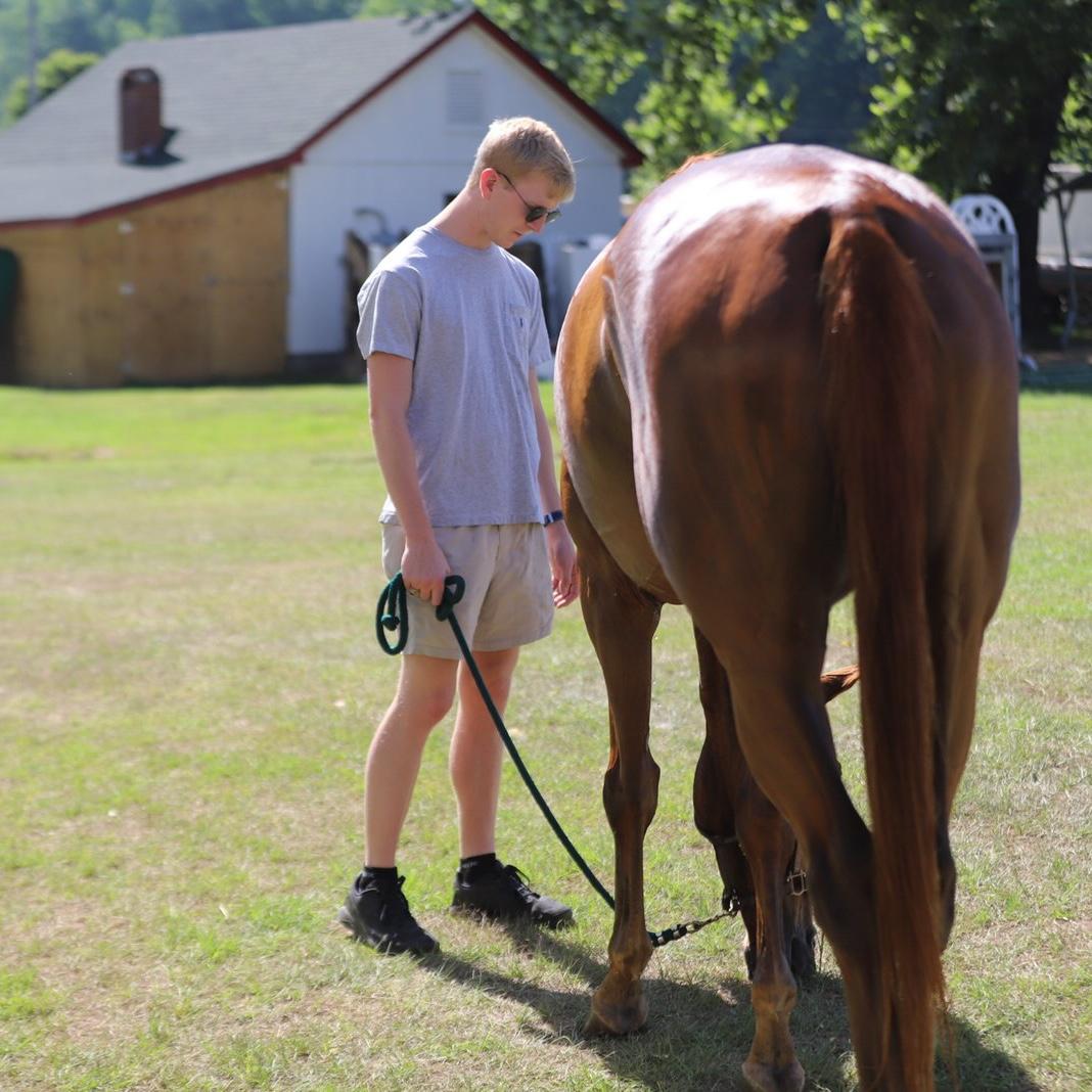 June 17, 2022
Will quickly assumed his role as horse dad, grazing Lila's horse Truman.