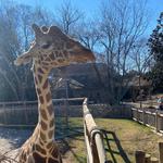 The Chattanooga Zoo at Warner Park