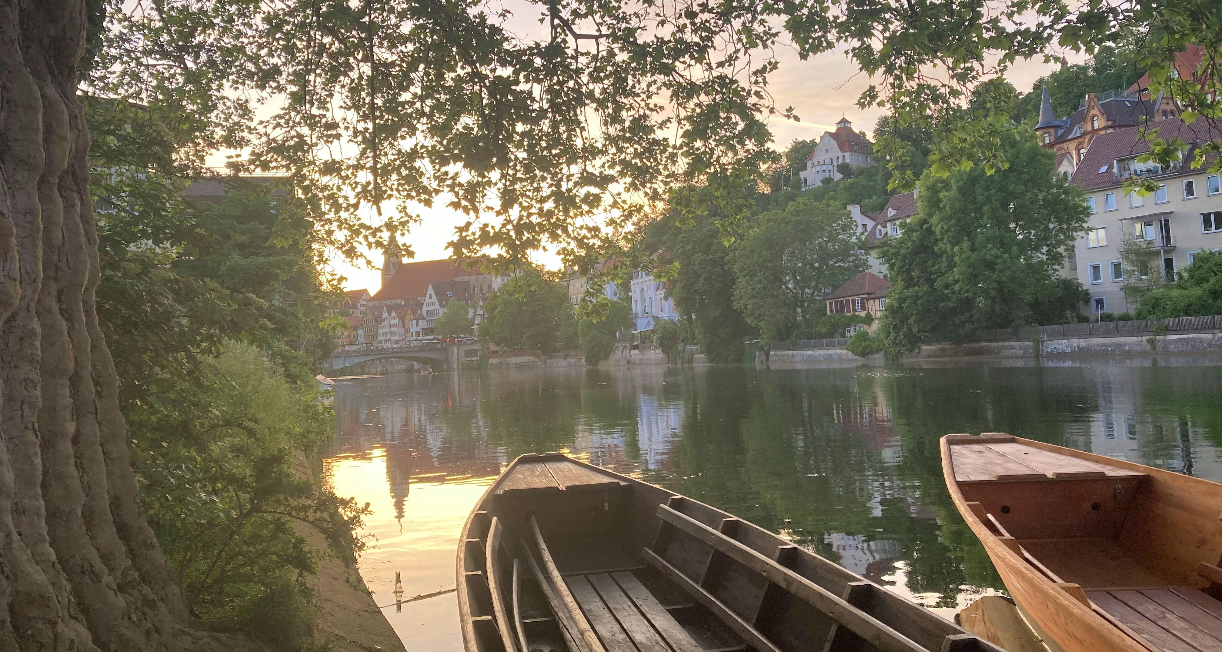 The Wedding Website of Martin Pawelczyk and Katie Dunn