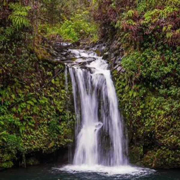 Road to Hana Waterfall and Hiking Tour in Maui