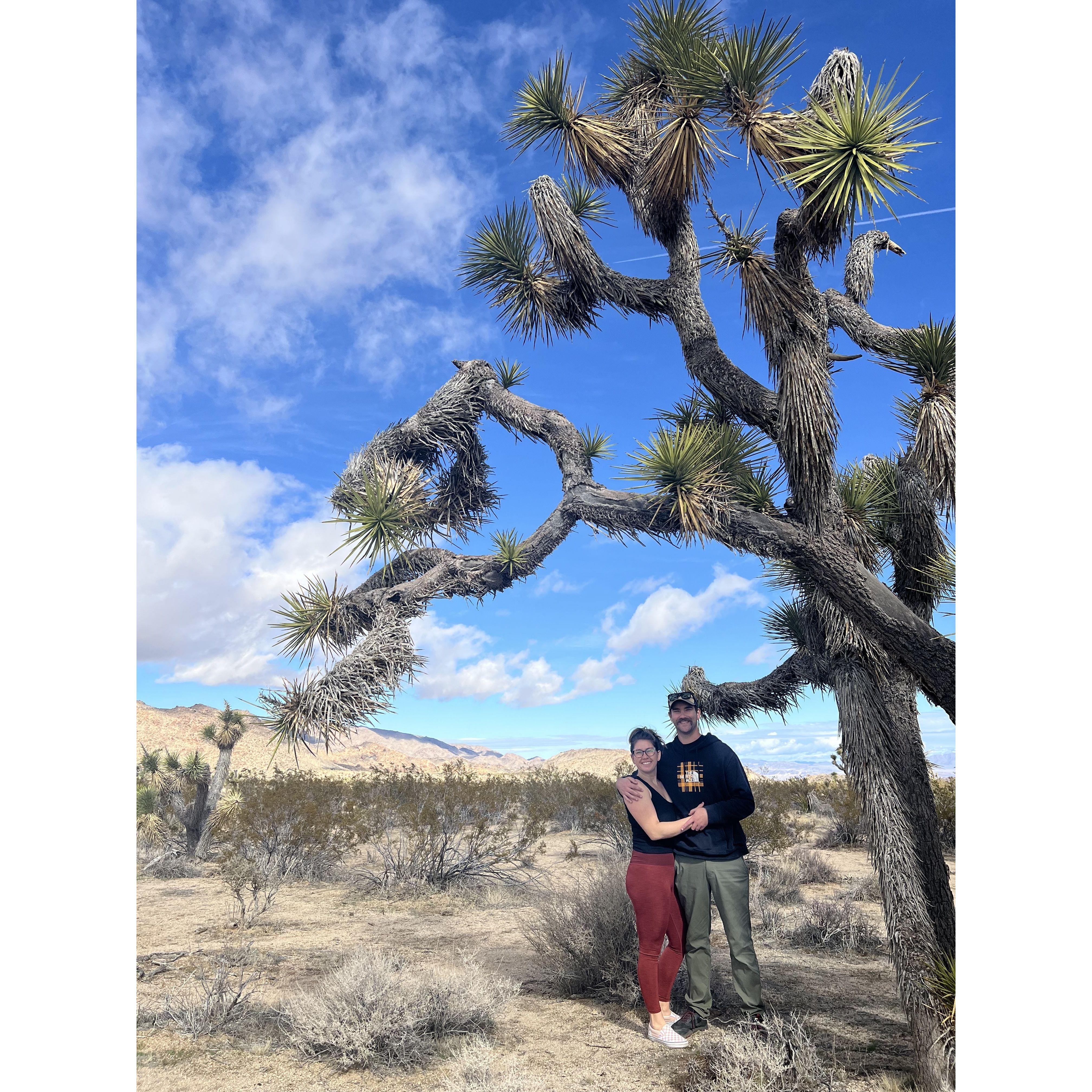 Second year Anniversary #JoshuaTree