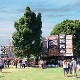 Brockville Rib Fest