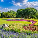 The Dallas Arboretum and Botanical Garden