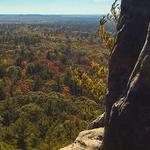 Black River State Forest