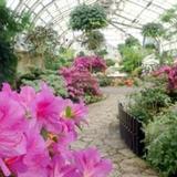 Lincoln Park Conservatory