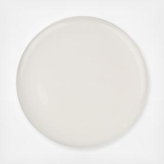 Shell Bisque Dinner Plate