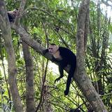Parque Nacional Manuel Antonio
