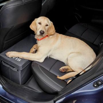 Backseat Extender with Storage