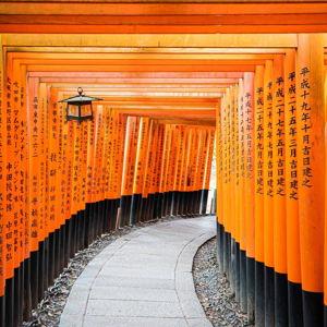 Honeymoon to Japan!