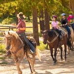 Giddyup on a Ride
