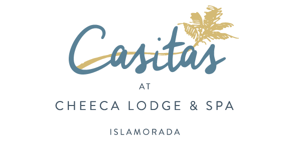 The Wedding Website of Elyse Breit and Bradley Downing