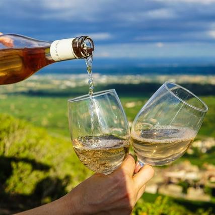 Wine Tasting for Two in France