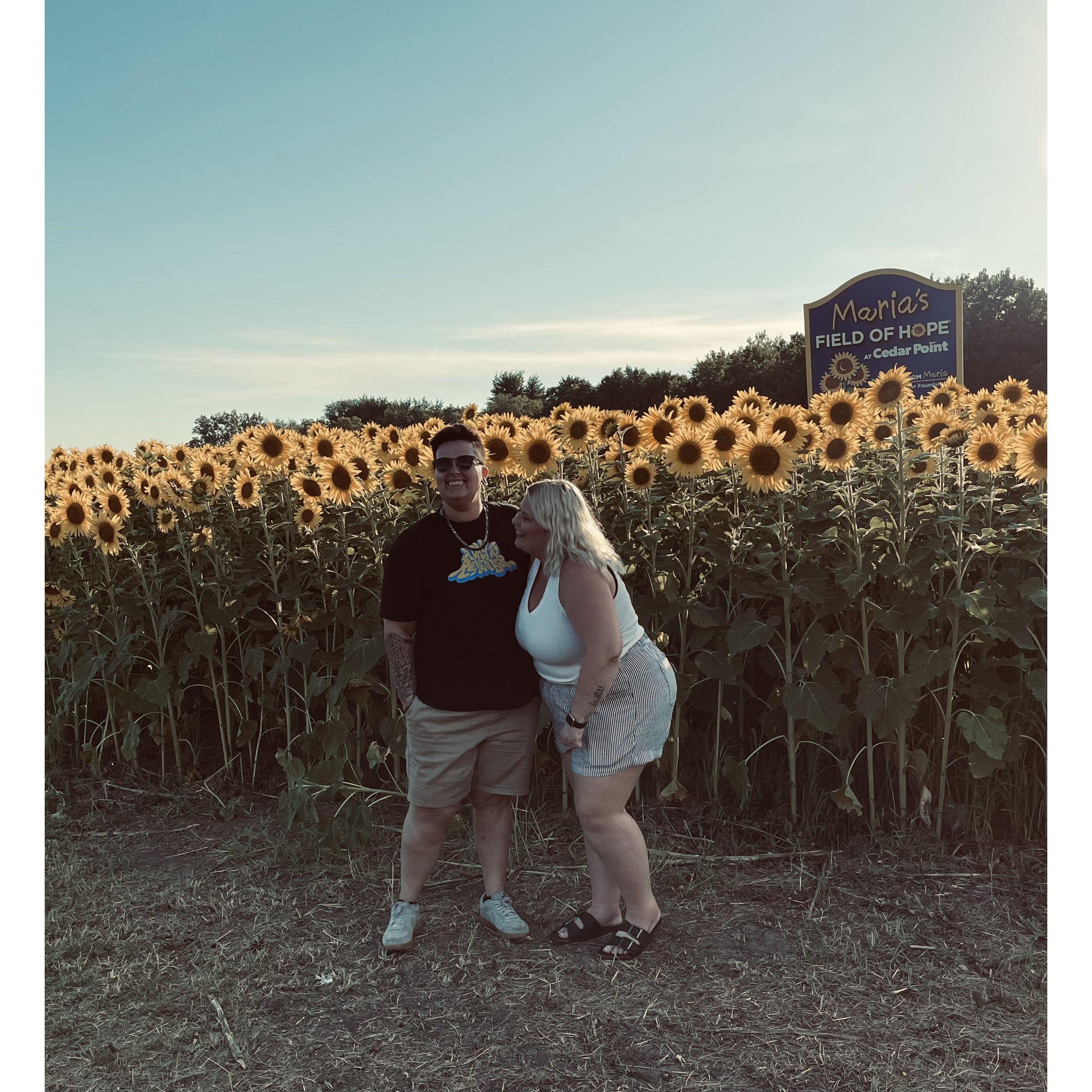 Sunflower field at Cedar Point Jess made sure Bray got to see!