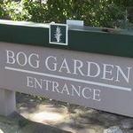 The Bog Garden at Benjamin Park