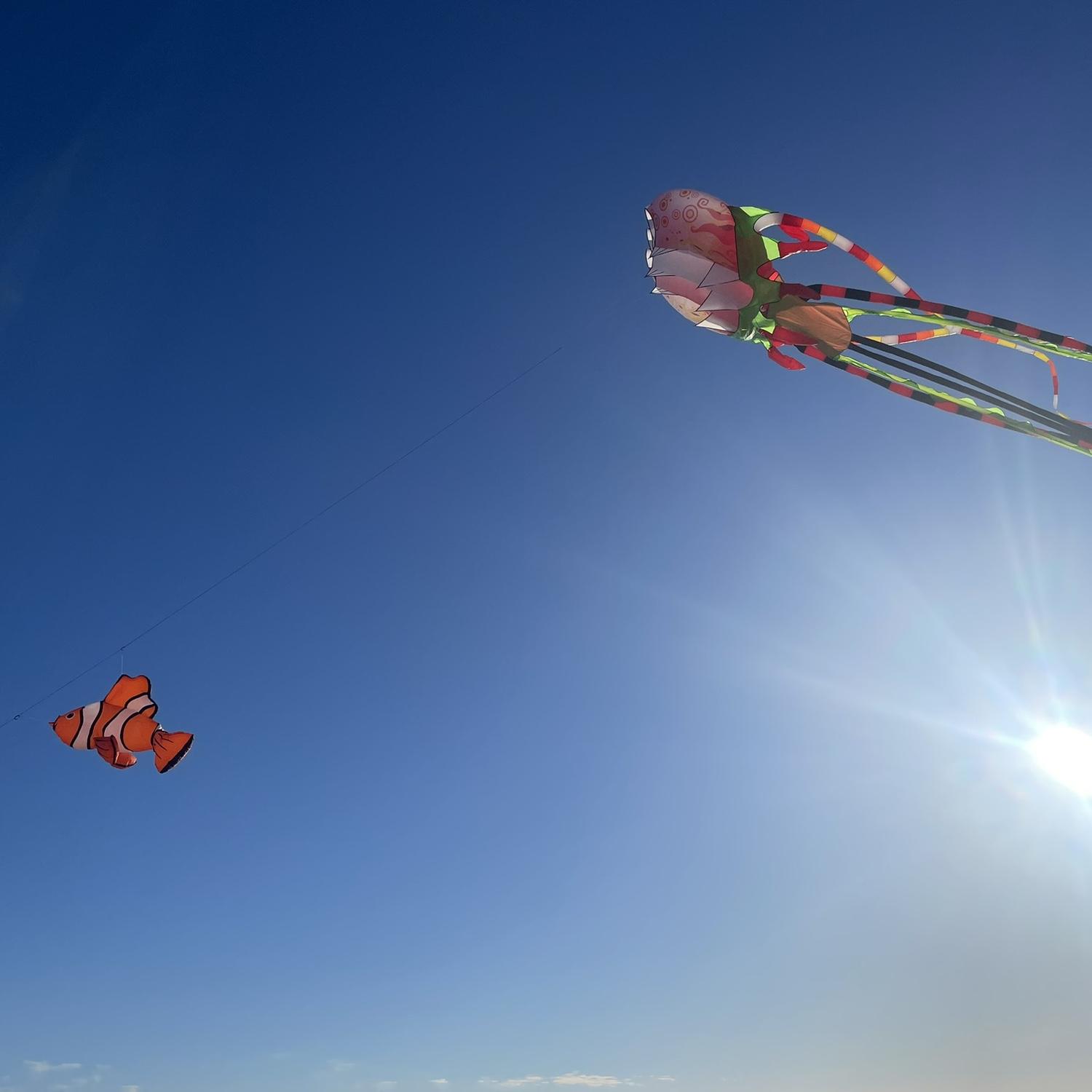 Our first big kite we bought 😊