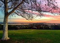 Kate Sessions Park