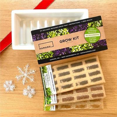 Starter Kit Gift - Ceramic Edition
