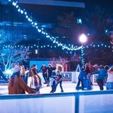 Elmwood on Ice