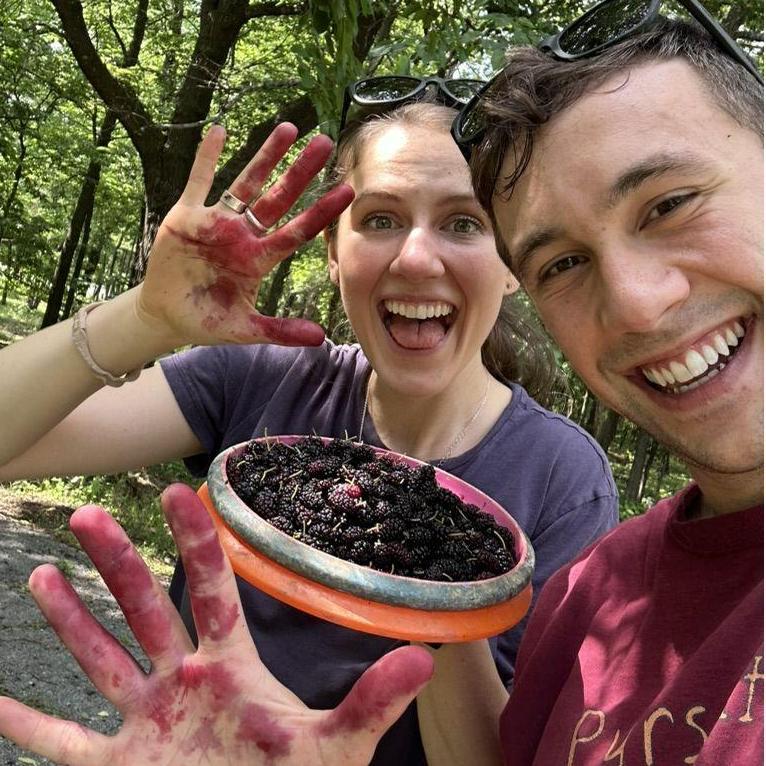 Mulberry picking in Arkansas! Thanks to Ellie for making sure we didn't poison ourselves with wild berries.