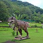 Albay Park & Wildlife
