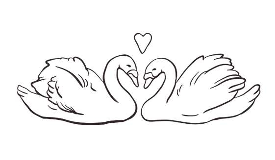 Footer image
