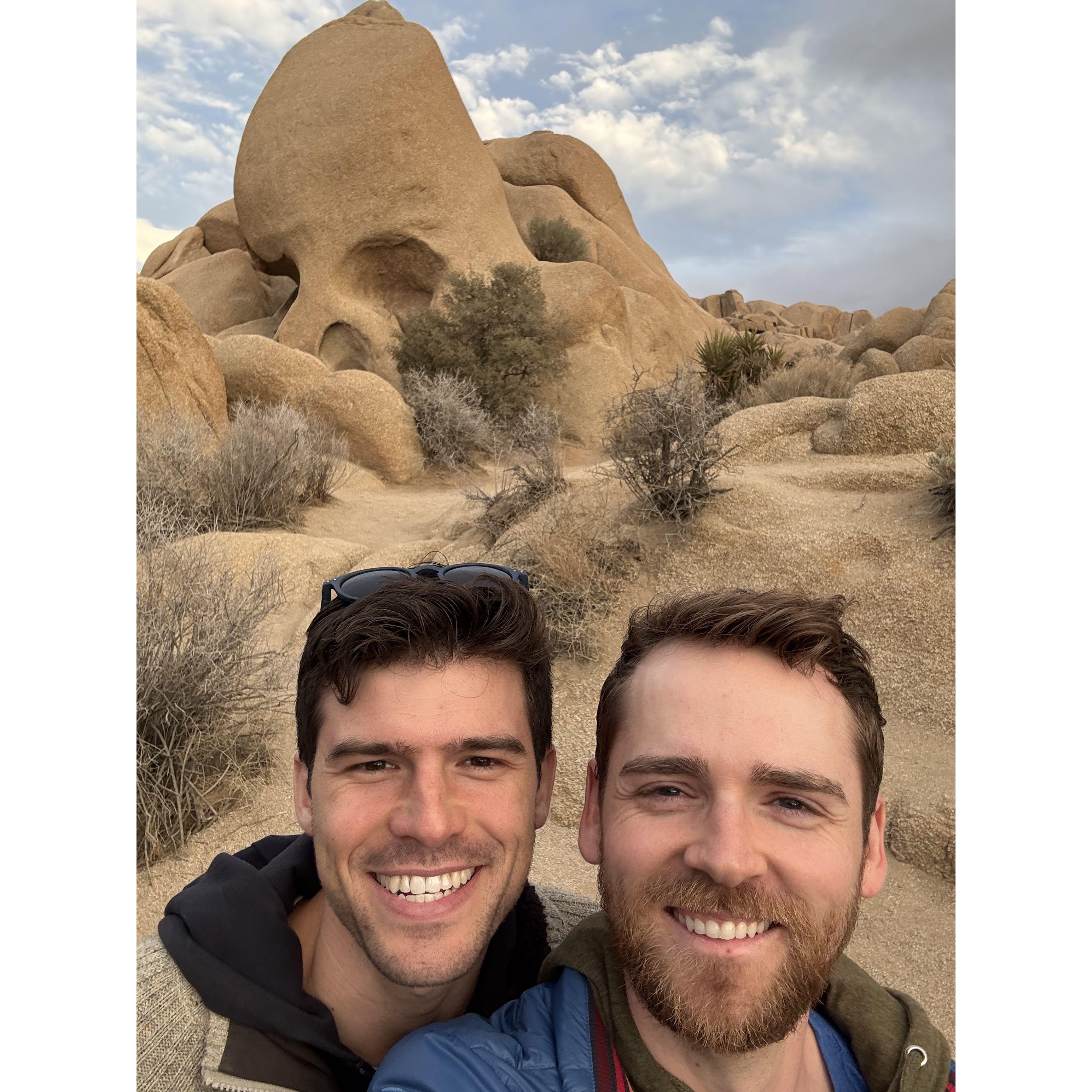 Joshua Tree 2025