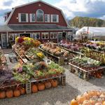 Alstede Farms