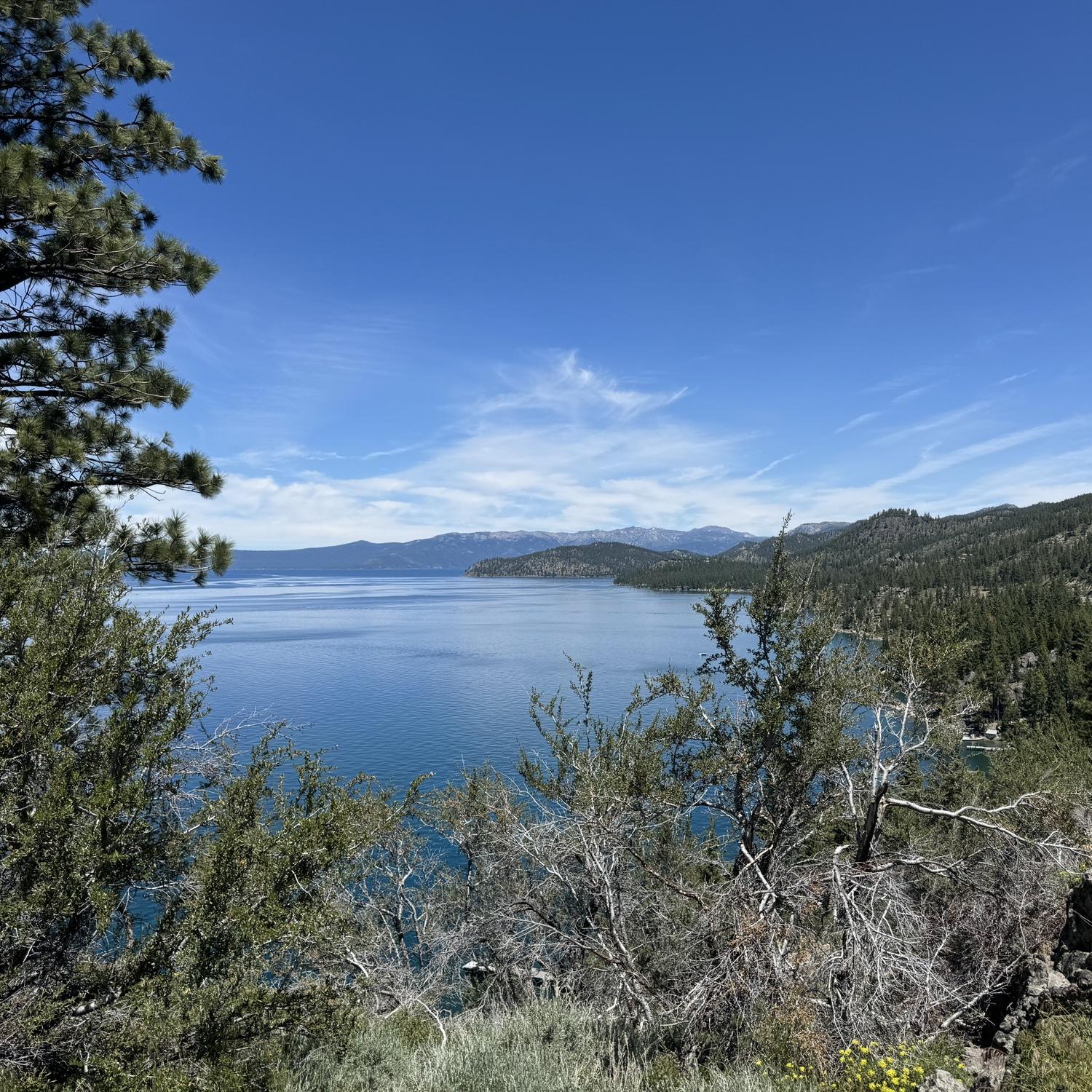 The view from the proposal