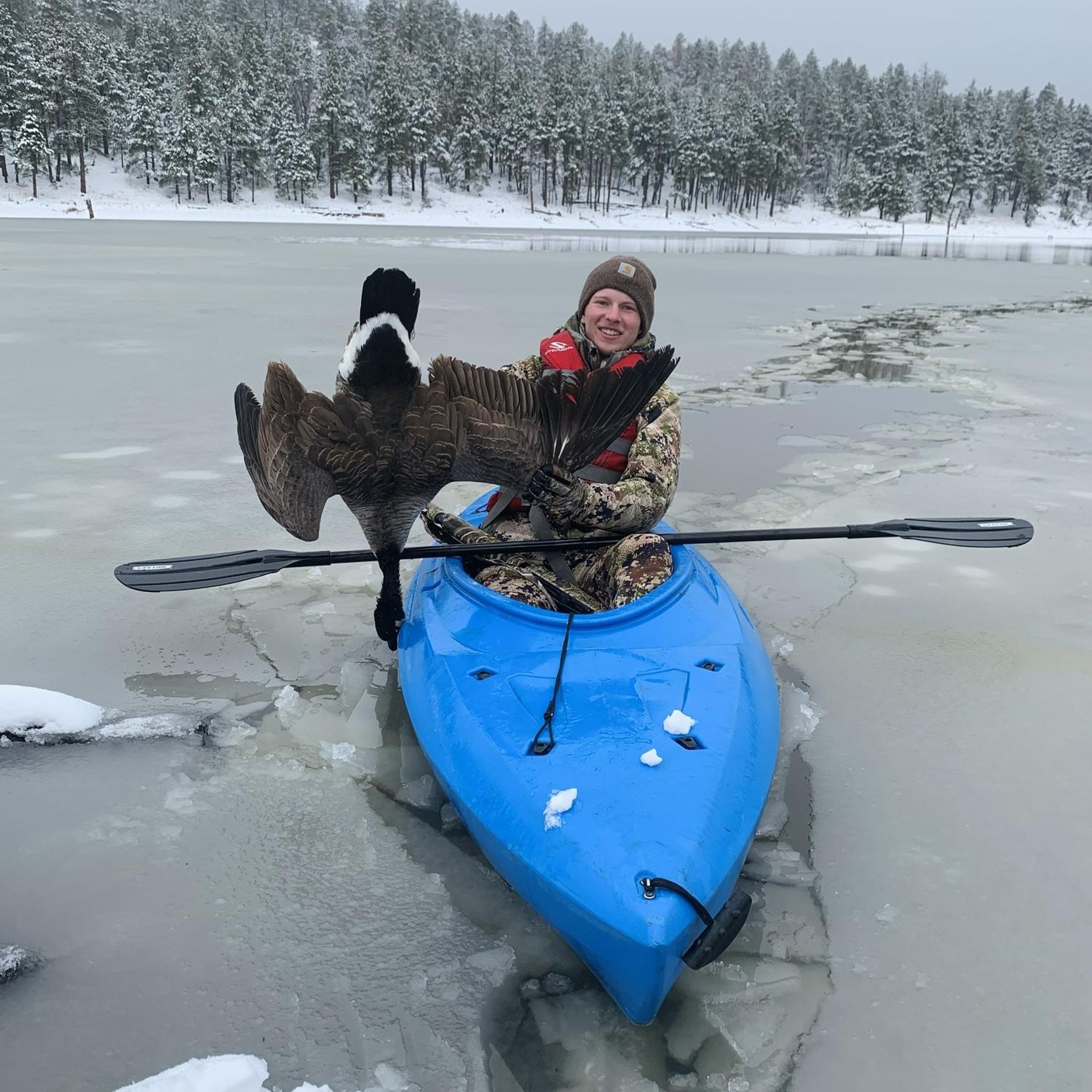Goose hunting