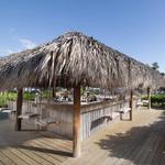 Barracuda Beach Bar