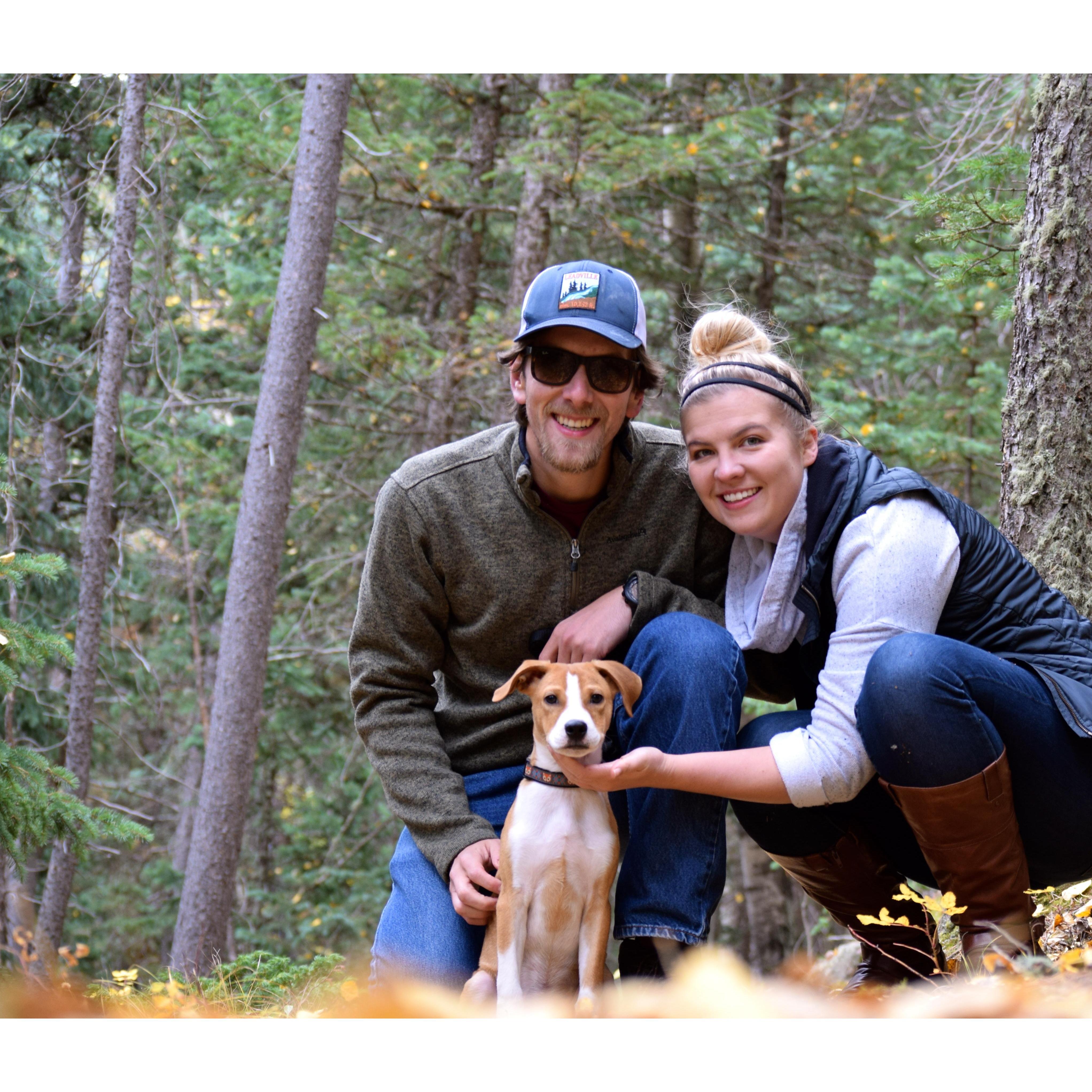 HIKING IN THE WOODS