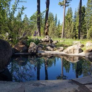 Sweat and Plunge at Sierraville Hot Spring
