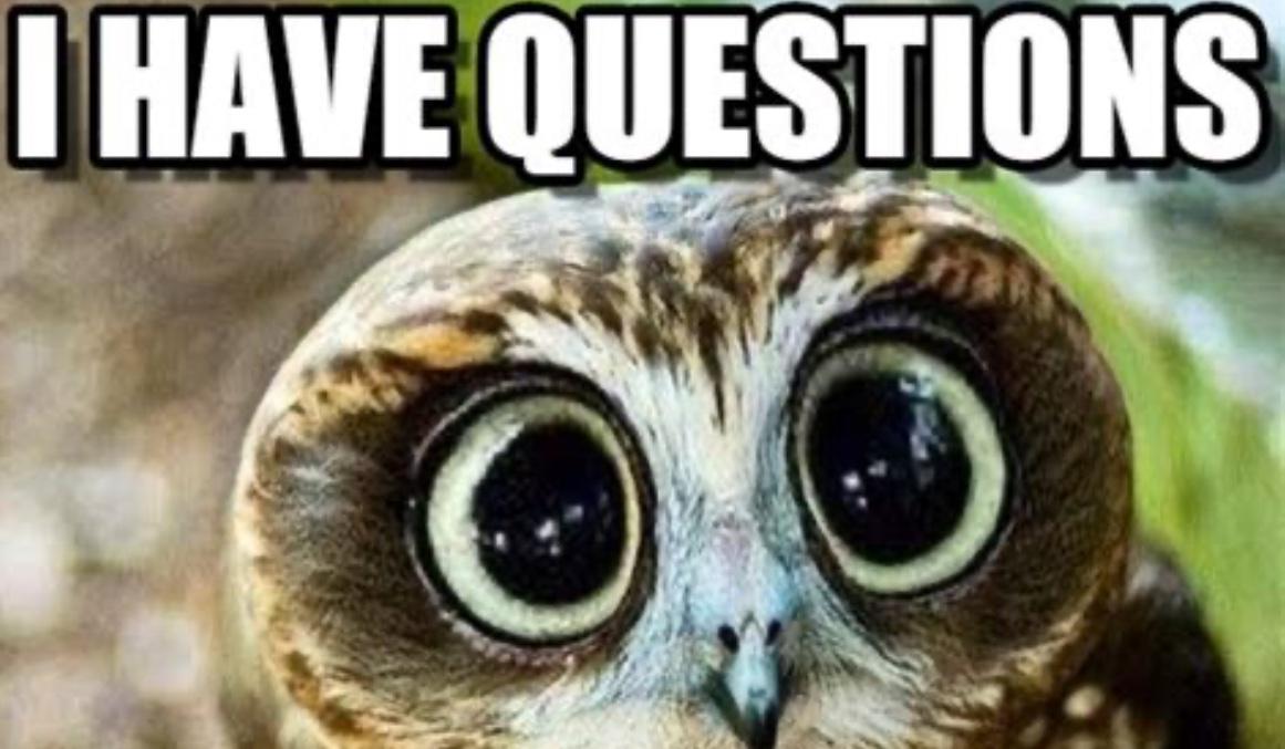 The Wedding Website of Elizabeth Bird and Tom Mugno