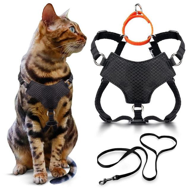 OutdoorBengal Always On™ Martingale Cat Harness and Leash Escape Proof Set – Vest for All-Day Kitten Adventures – Adult Cats - Cat Leash and Harness Escape Proof + Leash (Black, M/L)