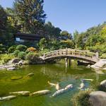 Hakone Estate and Gardens