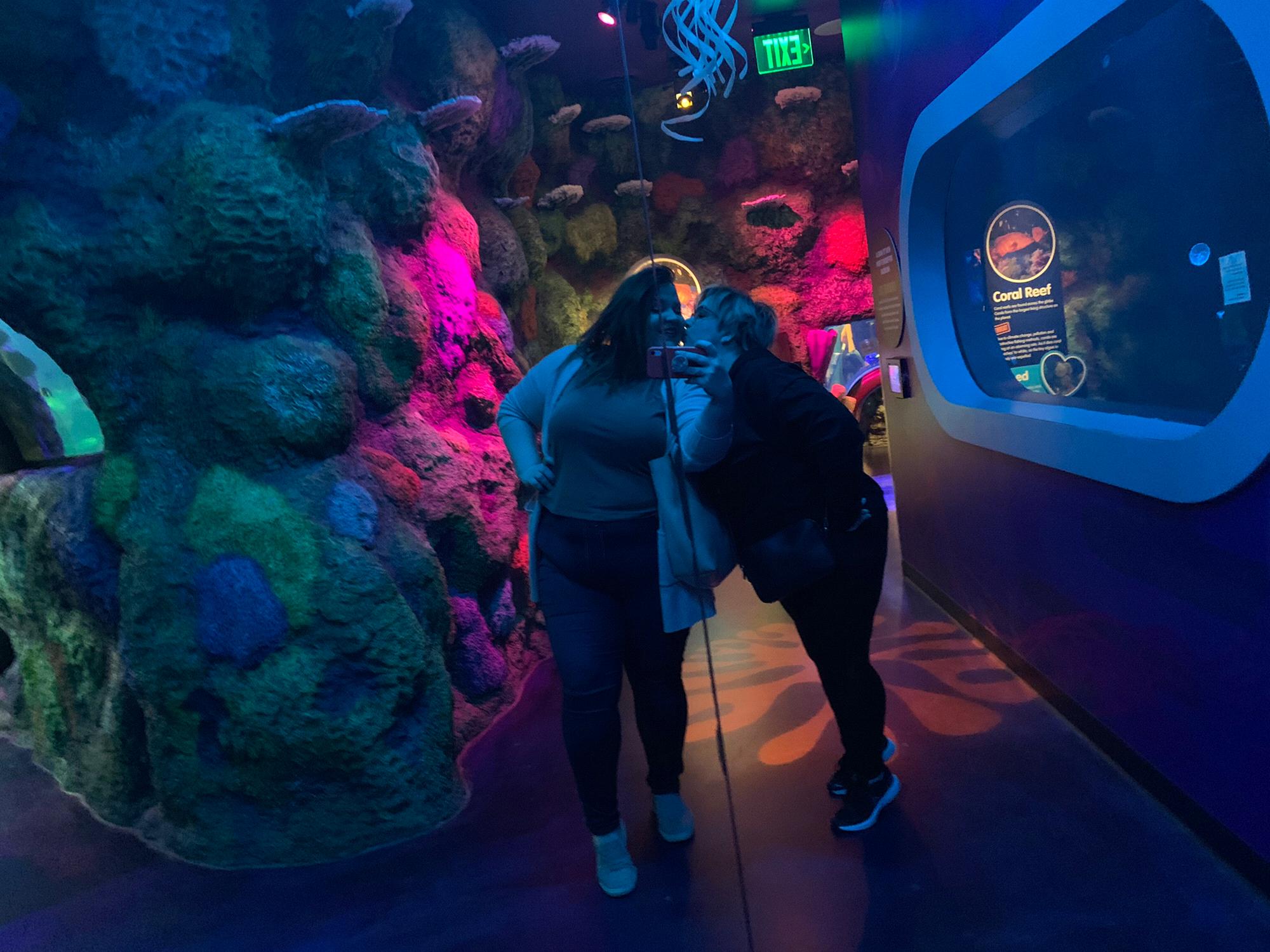 Getting lost in the magical world of jellyfish at the mall aquarium