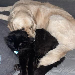 Miles and Leia Fund