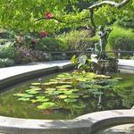 Conservatory Garden