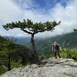 Hiking
