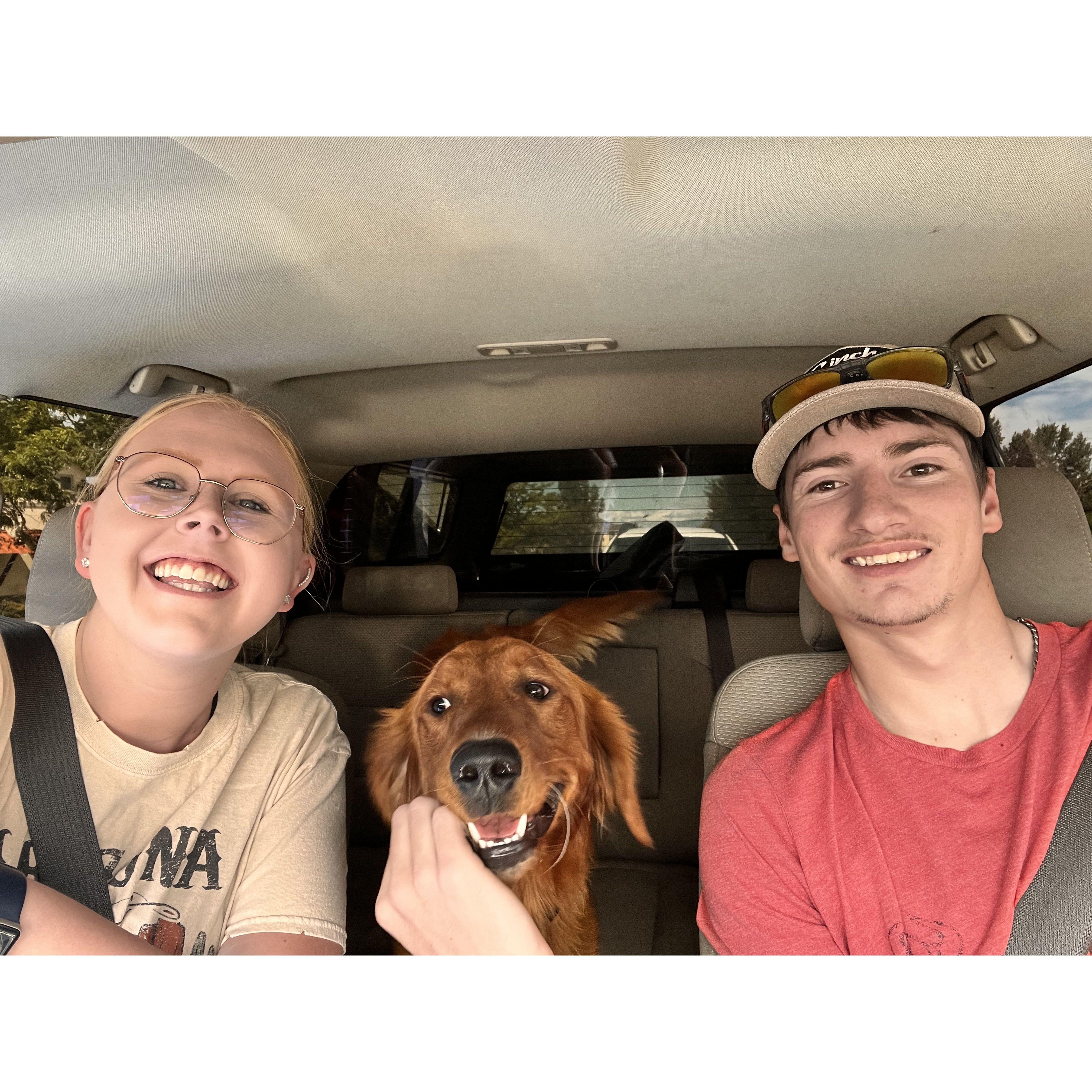 The day we picked up Banks from the shelter, 2023.