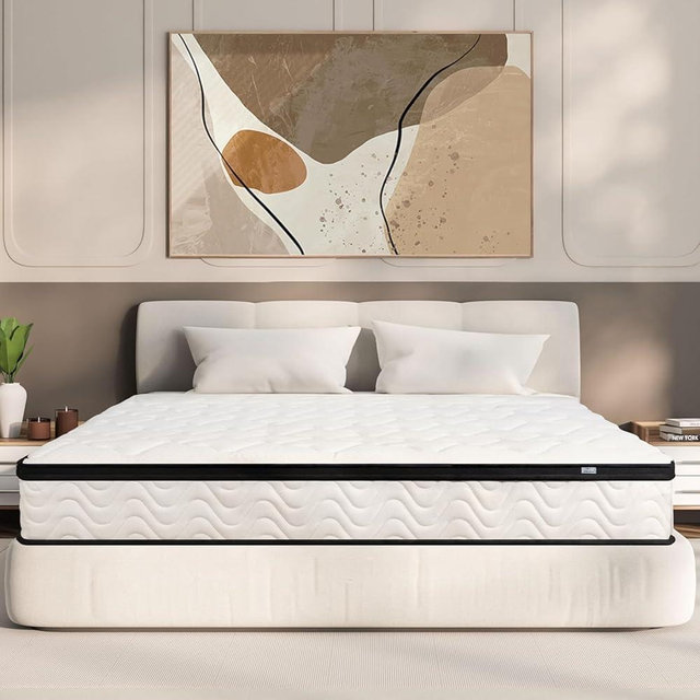 MOLBIUS Queen Mattress 12 Inch | Hybrid Mattresses Queen Size in a Box | Medium Firm Memory Foam and Individual Pocket Springs | Fiberglass Free Bed Mattres | Breathable | CertiPUR-US