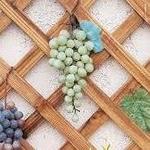 Heraklion | Wineries