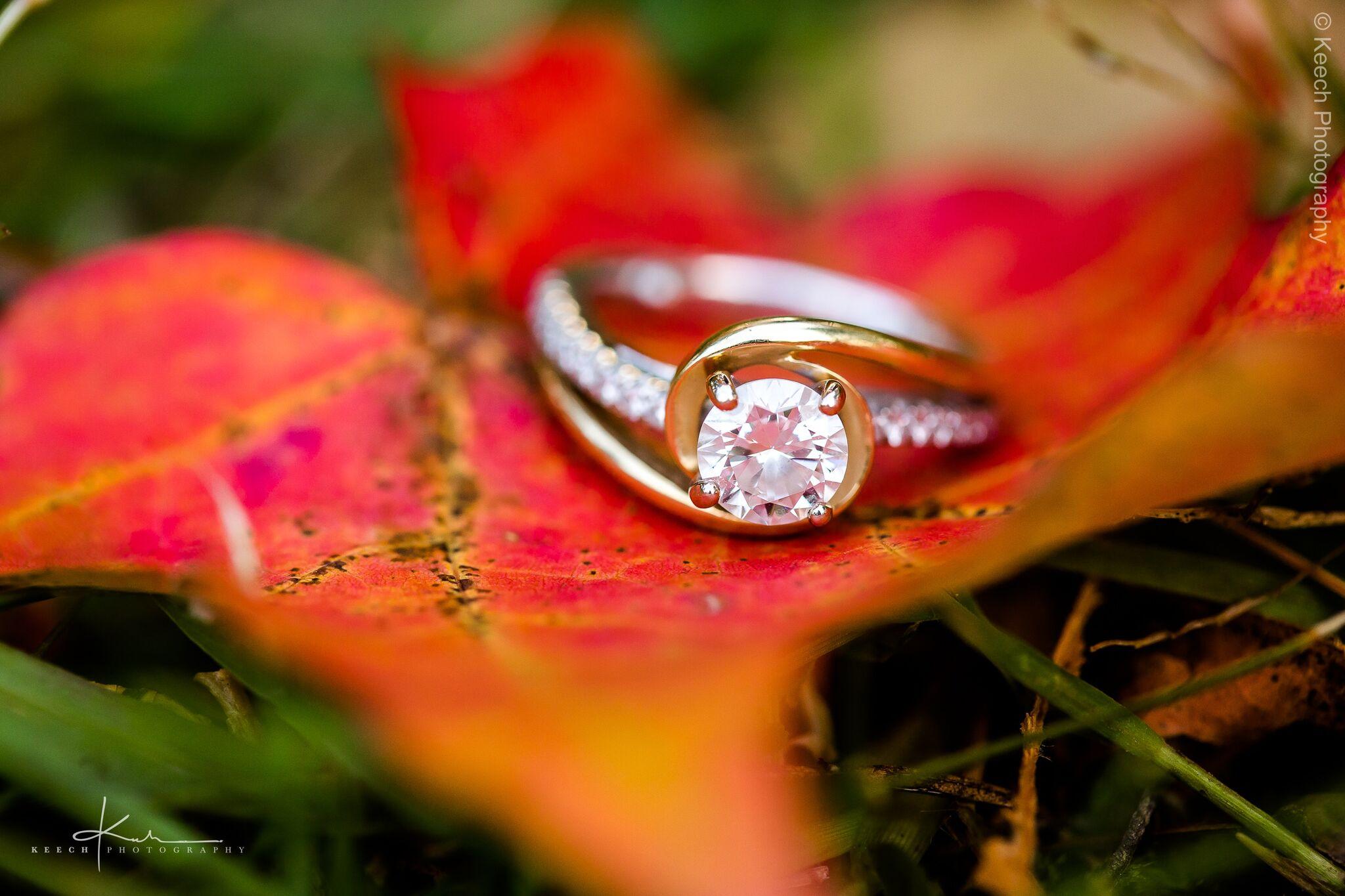 The Wedding Website of Katie Mutter and Dave Krawczyk