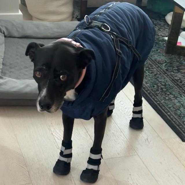 Charlie’s treat fund