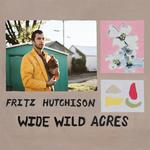 The Fritz Hutchison Band