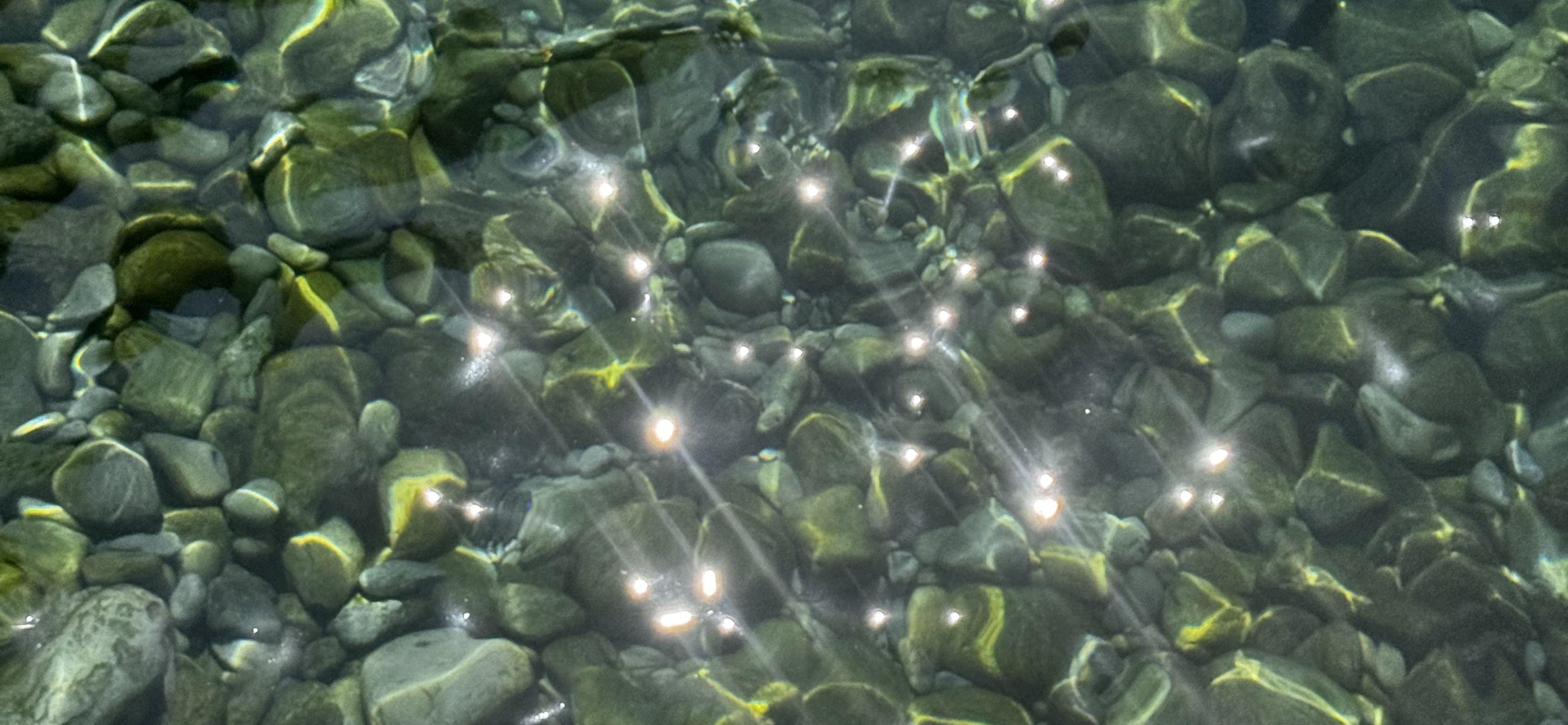 The Wedding Website of Murielle Malouf and Michael Kovacs