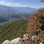 Hiking Near the Venue - Buzzard Roost via Stone Mountain Trail
